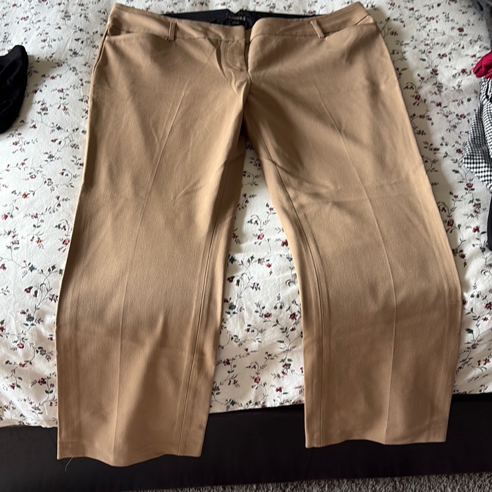 Express Columnist Women’s Straight-Leg Pant
